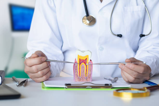 Best Dentist for Tooth Abscess  in Postville, IA